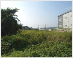  2024Ÿ��4259 ��� ��õ�� ����� ������ 495-7      ����(��1)���