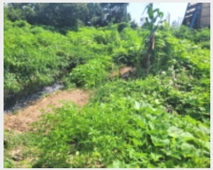  2024Ÿ��4259 ��� ��õ�� ����� ������ 495-7      ����(��1)���