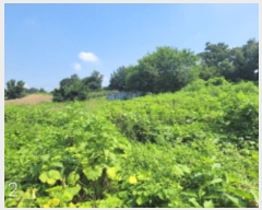  2024Ÿ��4259 ��� ��õ�� ����� ������ 495-7      ����(��1)���