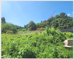  2024Ÿ4310  ֽ õ ٴ븮 55-2      (1)