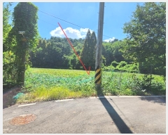  2024Ÿ4310  ֽ õ ٴ븮 55-2      (1)