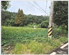  2024Ÿ4310  ֽ õ ٴ븮 55-2      (1)