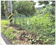  2024Ÿ4310  ֽ õ ٴ븮 55-2      (1)