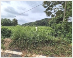  2024Ÿ4310  ֽ õ ٴ븮 55-2      (1)