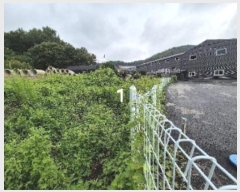  2024Ÿ4310  ֽ õ ٴ븮 55-2      (1)