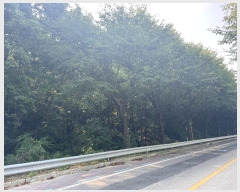  2024Ÿ��4327 ��� ���ֽ� ��õ�� ���븮 23-10      ����(�Ӿ�)���