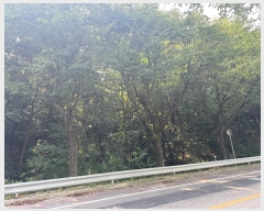  2024Ÿ��4327 ��� ���ֽ� ��õ�� ���븮 23-10      ����(�Ӿ�)���