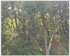  2024Ÿ��4327 ��� ���ֽ� ��õ�� ���븮 23-10      ����(�Ӿ�)���