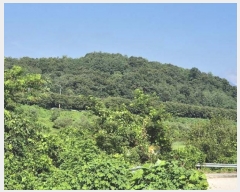  2024Ÿ��4327 ��� ���ֽ� ��õ�� ���븮 23-10      ����(�Ӿ�)���