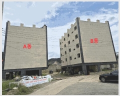  2024Ÿ��34335  �ټ���(����)���