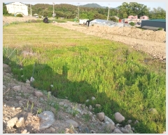  2024Ÿ��34458 ��� ���� �빮�� �ݰ 140-7      ����(��)���