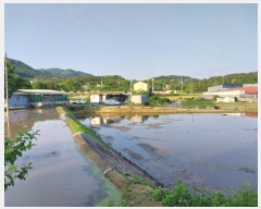  2024Ÿ��34458 ��� ���� �빮�� �ݰ 140-7      ����(��)���