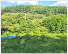  2024Ÿ��34922  �����