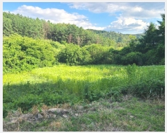  2024Ÿ��34922  �����