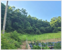  2024Ÿ��34922  �����