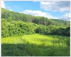  2024Ÿ��34922  �����