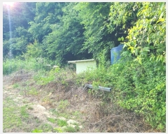  2024Ÿ��34922  �����