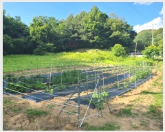  2024Ÿ��34922  �����