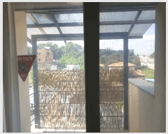  2024Ÿ35482  ֽ õ۵ 260-1       ð