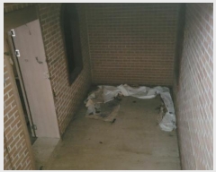  2024Ÿ��35994 ��� ���� �缭�� ��ɻ�ɱ� 232      ���ð��