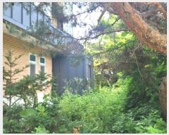  2024Ÿ��35994 ��� ���� �缭�� ��ɻ�ɱ� 232      ���ð��