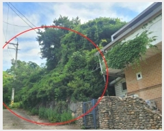  2024Ÿ��35994 ��� ���� �缭�� ��ɻ�ɱ� 232      ���ð��