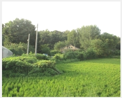  2024Ÿ36874  ֽ  ȭ 82      ð