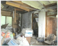  2024Ÿ36874  ֽ  ȭ 82      ð