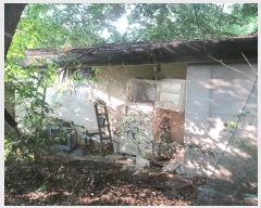  2024Ÿ36874  ֽ  ȭ 82      ð