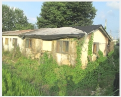  2024Ÿ36874  ֽ  ȭ 82      ð