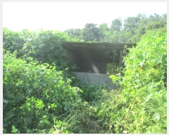  2024Ÿ36874  ֽ  ȭ 82      ð