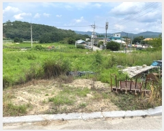  2024Ÿ��37228  �����