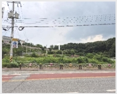  2024Ÿ��37228  �����