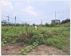  2024Ÿ��37228  �����