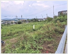  2024Ÿ��37228  �����