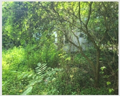  2024Ÿ��38528  ����