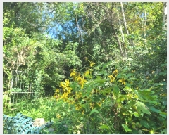  2024Ÿ��38528  ����