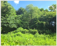  2024Ÿ��38528  ����