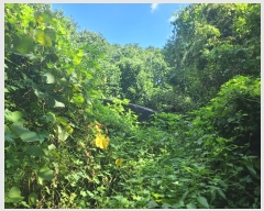  2024Ÿ��38528  ����