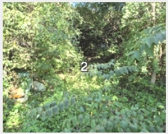  2024Ÿ��38528  ����