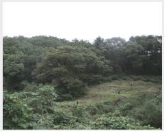  2024Ÿ��39705 ��� ���� ���ϸ� ������ ��64      ����(�Ӿ�)���