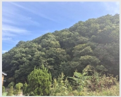  2024Ÿ��39705 ��� ���� ���ϸ� ������ ��64      ����(�Ӿ�)���