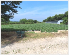  2024Ÿ��3584 ��� ���ֽ� ��Ÿ� õ���� 255-1      ���ð��