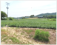  2024Ÿ��3584 ��� ���ֽ� ��Ÿ� õ���� 255-1      ���ð��