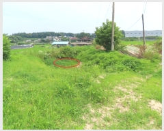  2024Ÿ��3584 ��� ���ֽ� ��Ÿ� õ���� 255-1      ���ð��