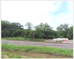  2024Ÿ4068  õ ι ƹ̸ 212-2      (Ӿ)