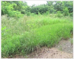  2024Ÿ4068  õ ι ƹ̸ 212-2      (Ӿ)