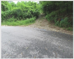  2024Ÿ4068  õ ι ƹ̸ 212-2      (Ӿ)