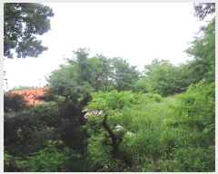  2024Ÿ4068  õ ι ƹ̸ 212-2      (Ӿ)