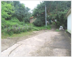  2024Ÿ4068  õ ι ƹ̸ 212-2      (Ӿ)